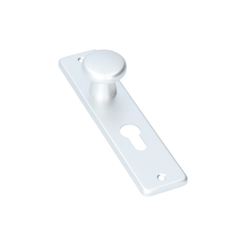 AMI kortschild knop 180/41 binnendeur PC55 F1