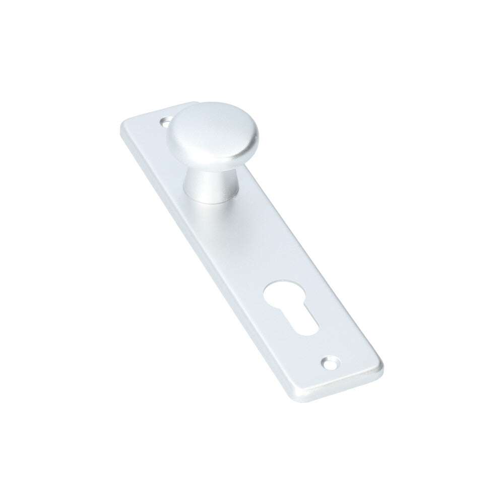 AMI kortschild knop 180/41 binnendeur PC72 F1