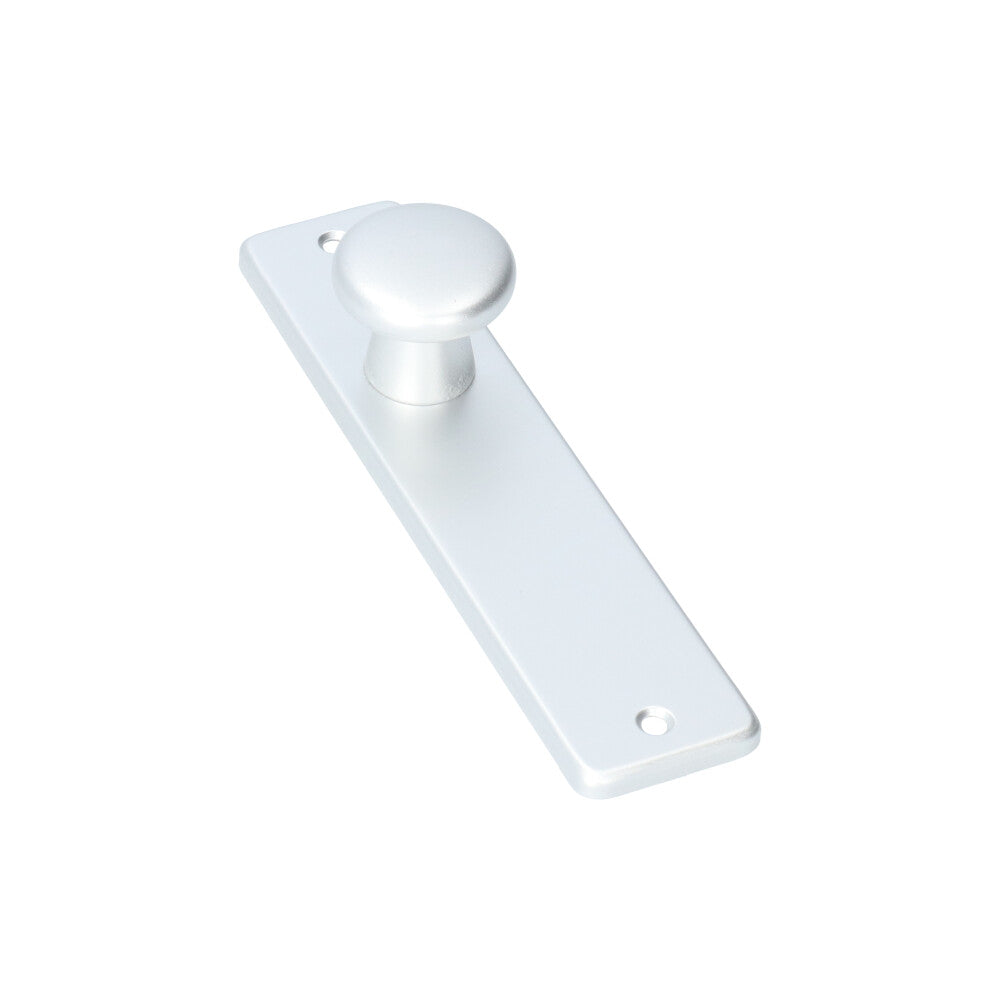 AMI kortschild knop 180/41 binnendeur blind F1