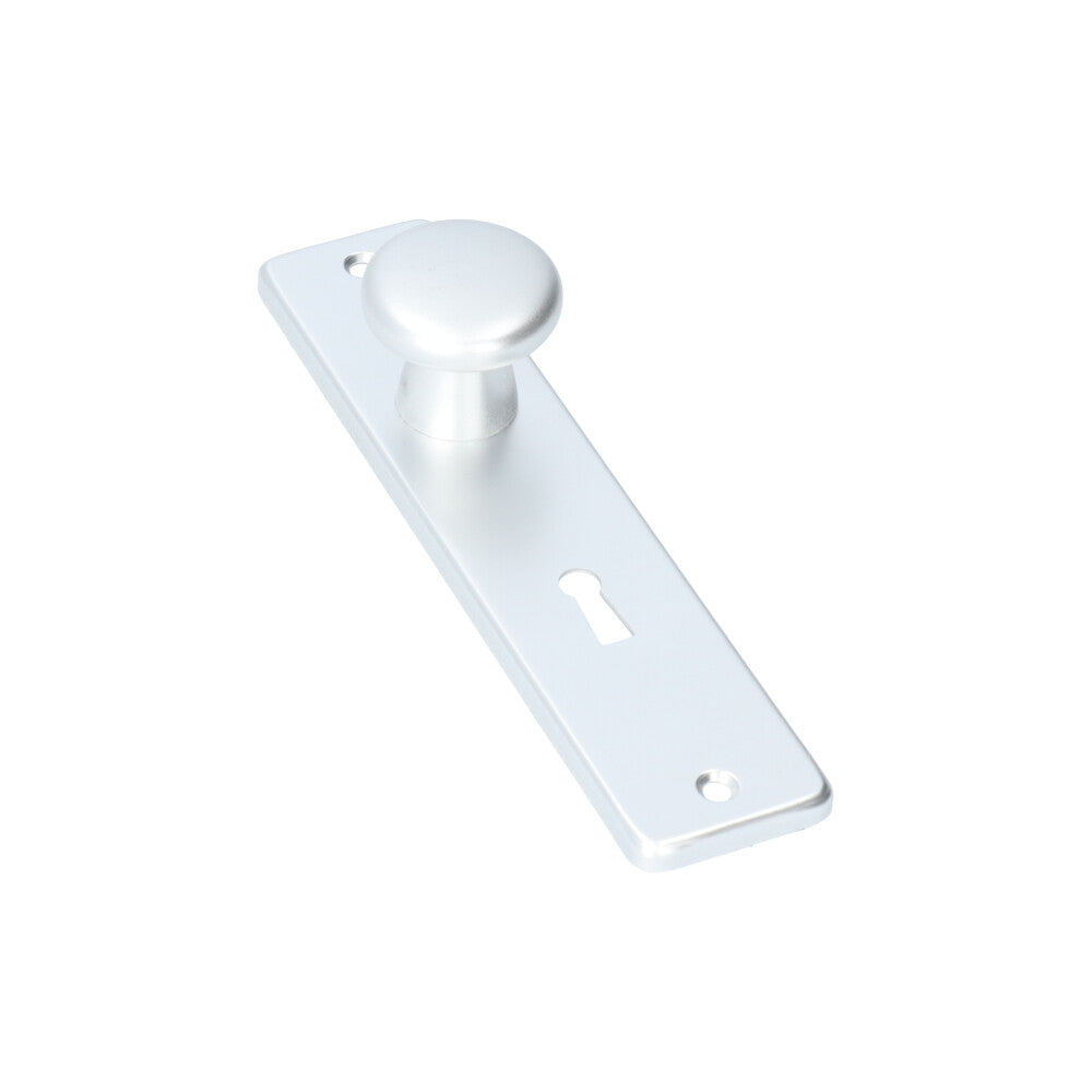 AMI kortschild knop 180/41 binnendeur SL56 F1